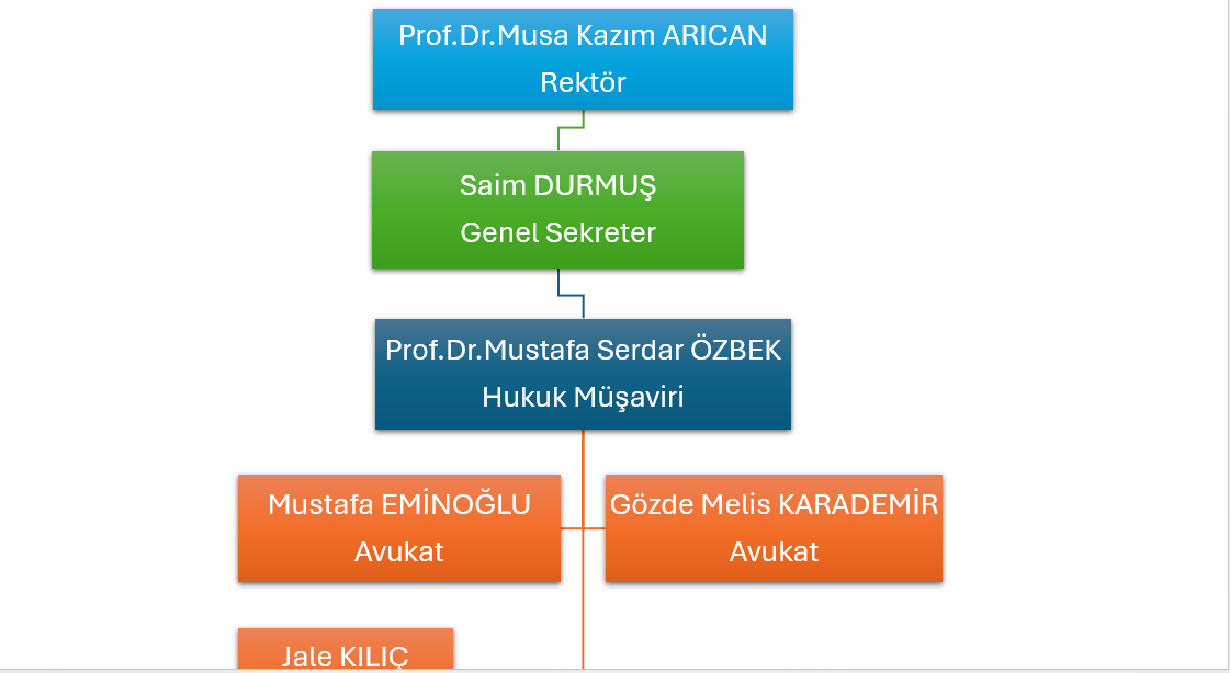 organizasyon şeması
